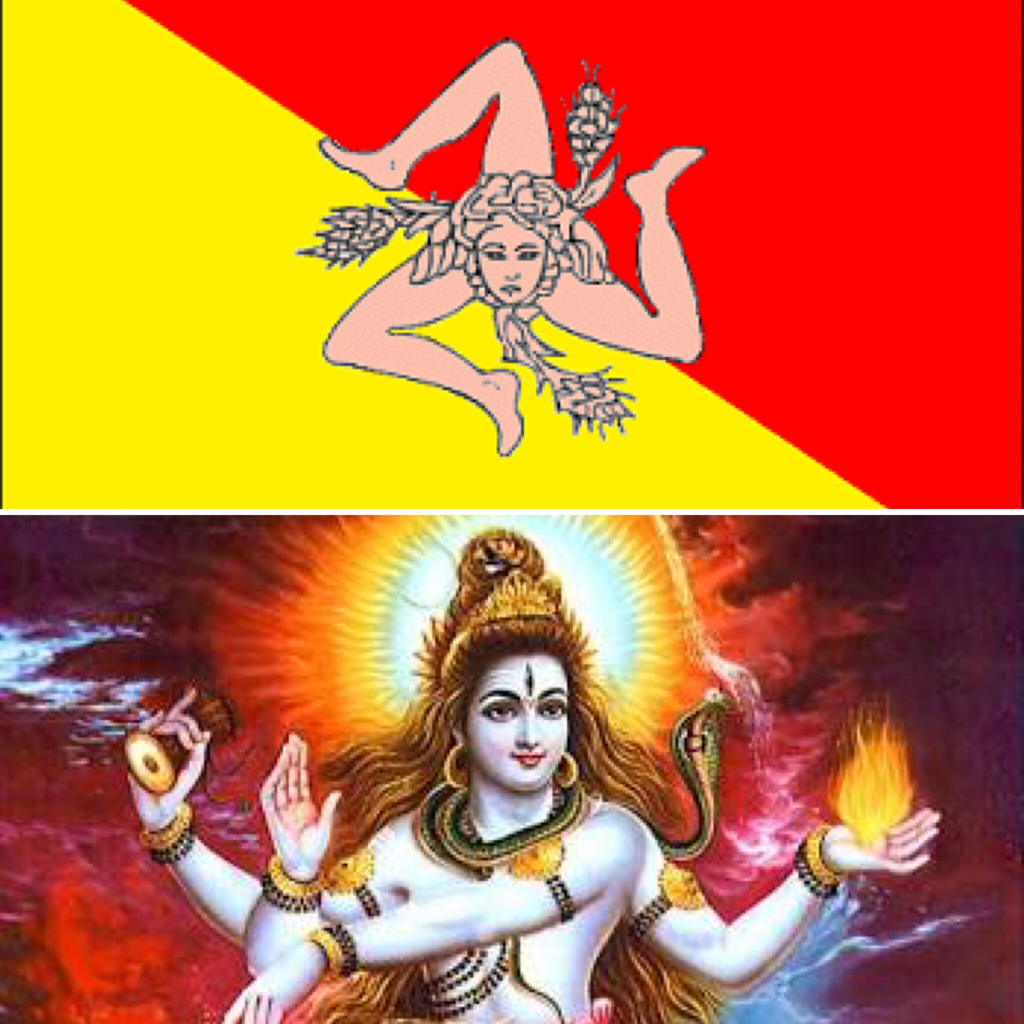 4e0f8805-562f-4c8b-9a01-5d62e27bc47f