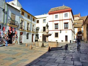 PlazaPotro