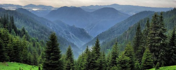 Tahta Kılıçlı Fatihler Ülkesi: Batı&nbsp;Trakya